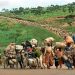 RDC: 6 000 réfugiés congolais rapatriés après 5 ans en Zambie