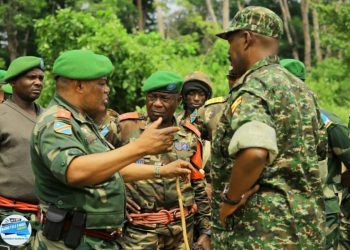 RDC : Lucha appelle le Parlement alloué un budget significatif aux FARDC