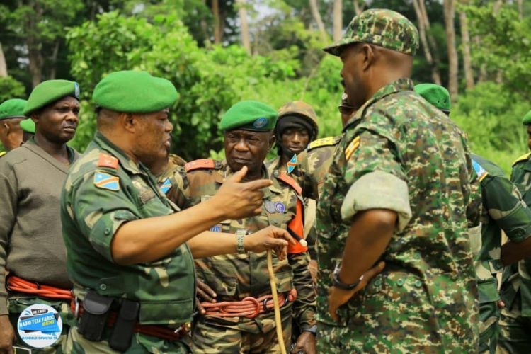 RDC : Lucha appelle le Parlement alloué un budget significatif aux FARDC