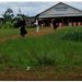 Nord-Kivu : 11 civils tués dans une attaque dans le village Vido