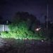Pluie dans certains coins de Kinshasa: Pas de passage pour les véhicules de Rond-point SOCIMAT à Safricas suite à l’écroulement d’un arbre