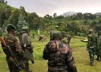 Situation sécuritaire dans l&rsquo;est : Une attaque signalée entre le M23 et les FARDC dans le parc de Virunga