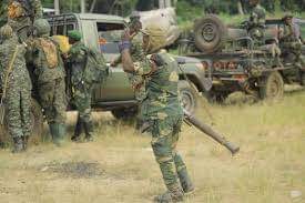 Nord-Kivu : Les FARDC et l’UPDF tuent un autre leader ADF à Beni