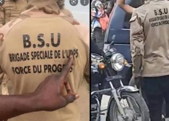 RDC : Accusée d’une milice , la force du progrès de l’UDPS s’exprime !