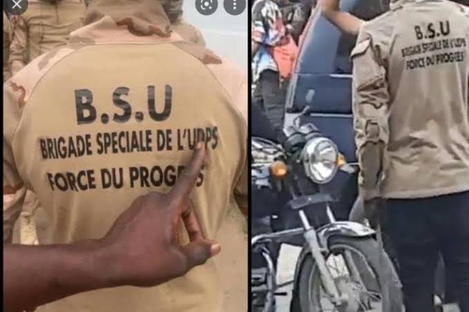 RDC : Accusée d’une milice , la force du progrès de l’UDPS s’exprime !