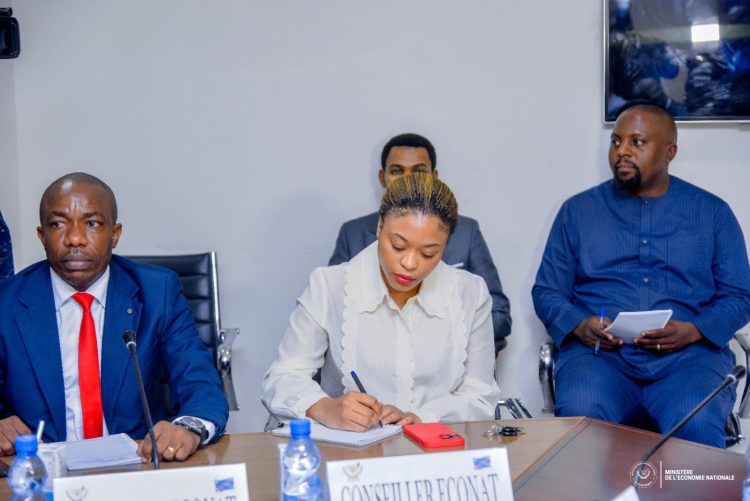 RDC | Nouvellement nommée comme conseillère au ministère de l’économie, Daida Mpiana présente dans une réunion avec les opérateurs économiques !