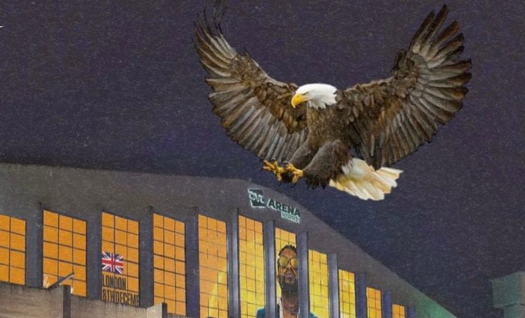 Culture | Tout savoir sur les mesures prises pour le concert FALLY IPUPA à Ovo Arena Wembley !