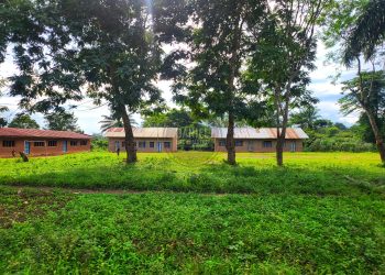 Nord-Kivu | Les Wazalendo repoussent le M23 et reprennent du terrain à Walikale !