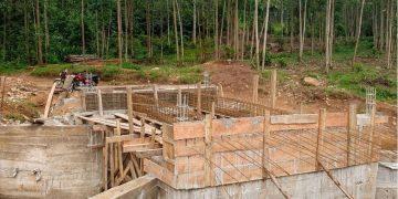 Nord-Kivu | Jean-Chrysostome Vahamwiti voit sa vision agricole se concrétiser sur le terrain !