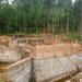 Nord-Kivu | Jean-Chrysostome Vahamwiti voit sa vision agricole se concrétiser sur le terrain !